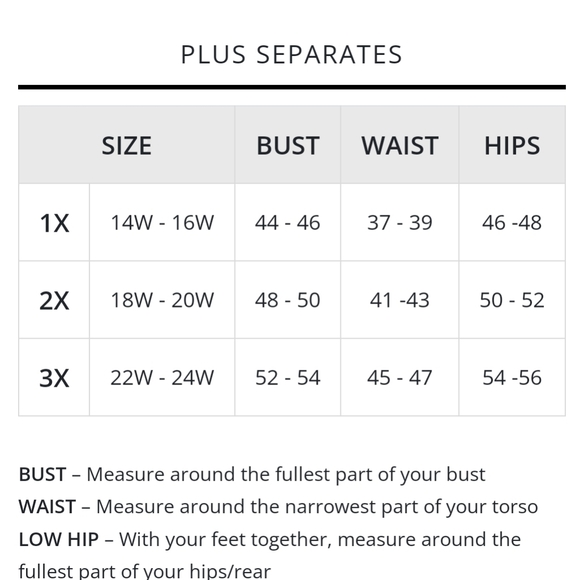 Alex Evenings Plus Size 3/4 Sleeve Embroidered Twinset - Picture 14 of 14